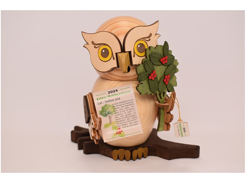 Kuhnert - Smoky owl year owl 2024 flourberry
