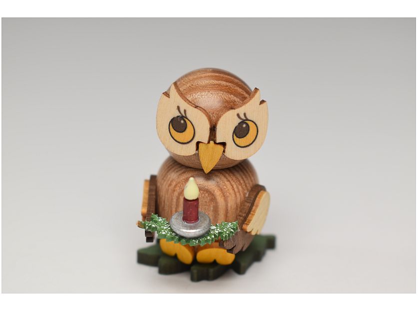 Kuhnert - Owl Child with Candle on Branch