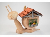 Kuhnert - smoker snail Sunny - housesnail (with video)