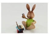 Kuhnert - Stupsi bunny homeschool with laptop (with video)
