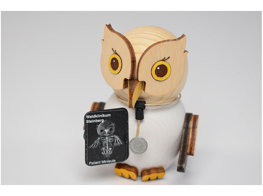 Kuhnert - mini owl doctor