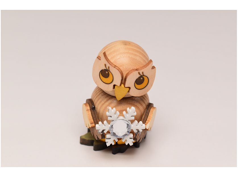 Kuhnert - Owl child with snow crystal