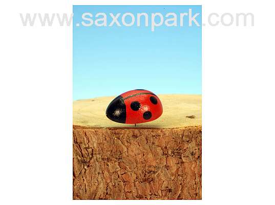 Ulbricht - Ladybug Middle