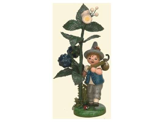 Hubrig - Autumn child blackberry