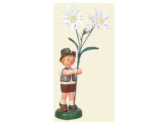 Hubrig - Blumenjunge – Edelweiß