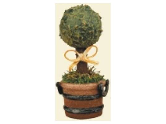 Hubrig - Miniature boxwood (3 pieces)