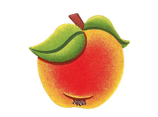Hubrig - Magnetpin Apfel