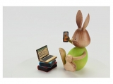 Kuhnert - Stupsi bunny homeschool with laptop (with video)