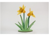 Kuhnert - daffodil