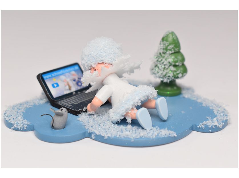 Kuhnert - Snowflake with laptop