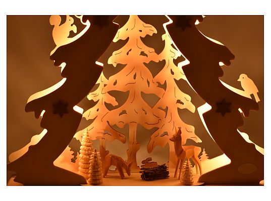 Tietze - fir forest idyll with LED